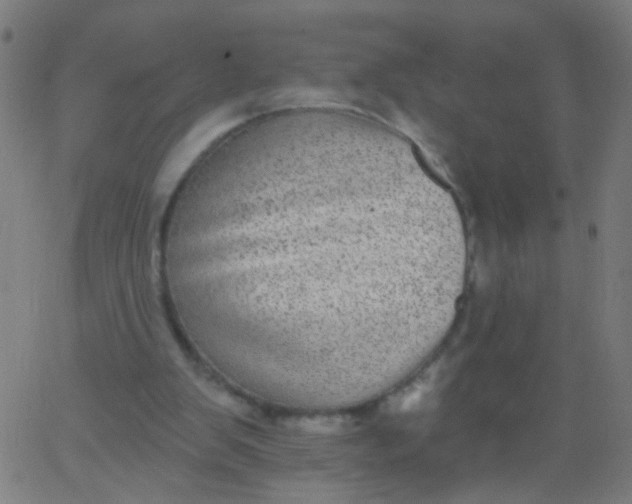 X0000067900103200604271902