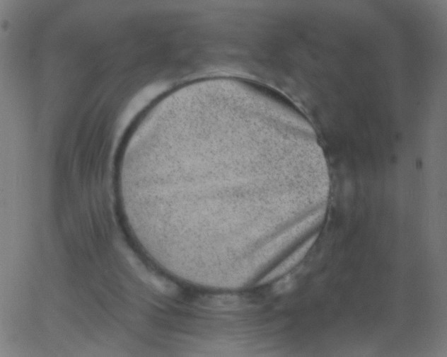 X0000067900104200604271902