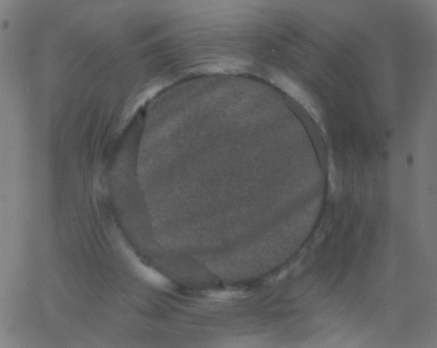 X0000067900105200604271902