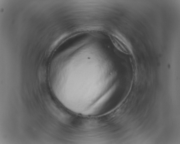 X0000067900107200604271902