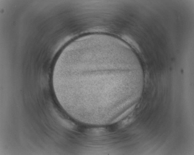 X0000067900108200604271902