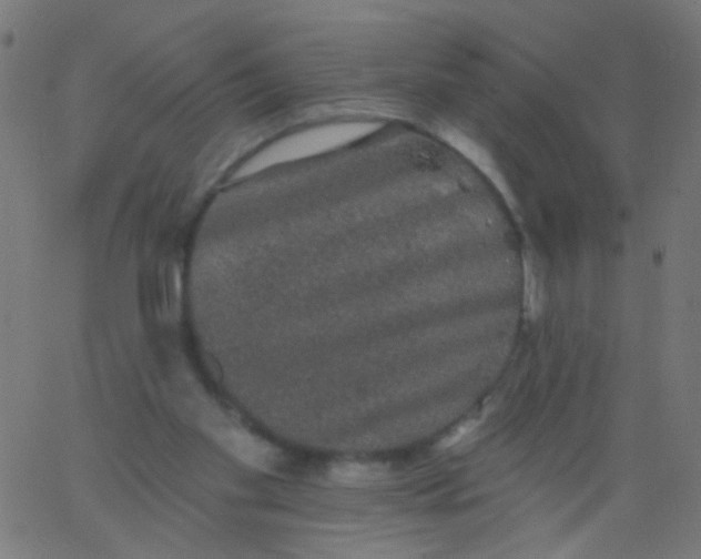 X0000067900109200604271902