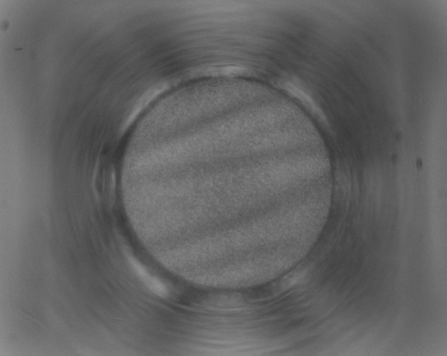 X0000067900110200604271902