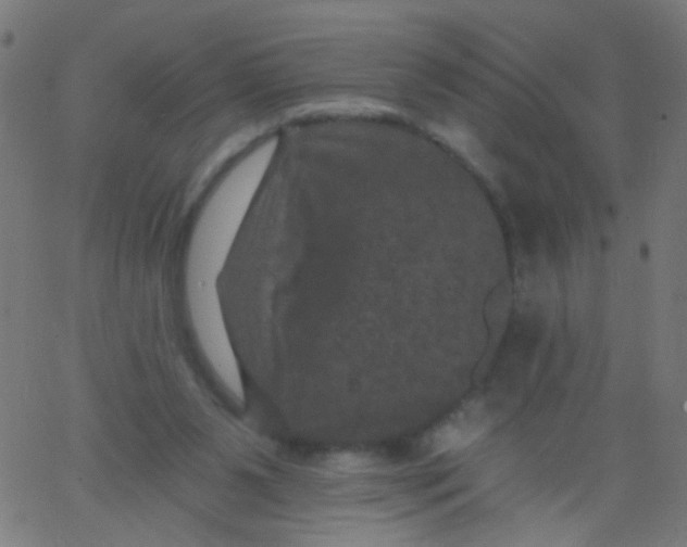 X0000067900111200604271902