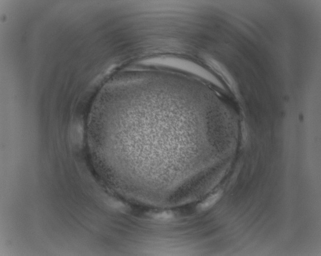 X0000067900113200604271902