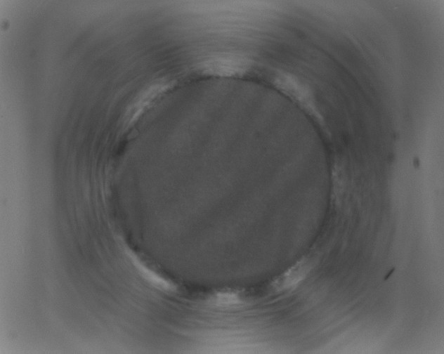 X0000067900114200604271902