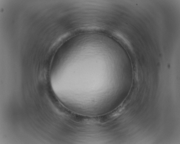 X0000067900115200604271902