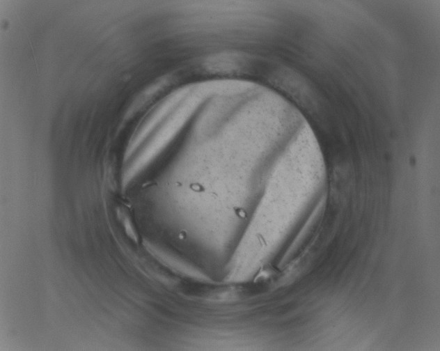 X0000067900116200604271902