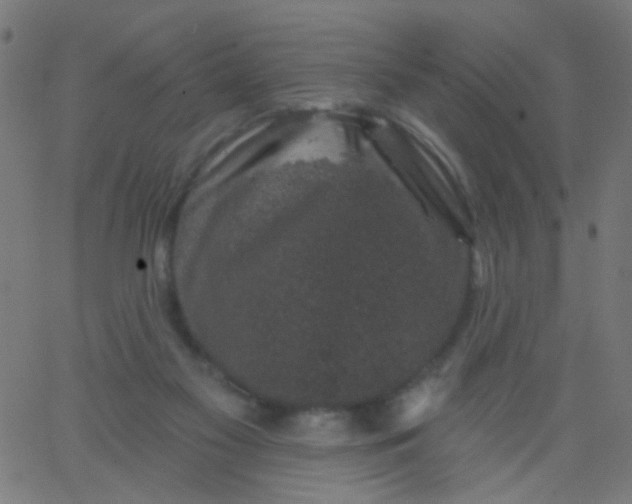 X0000067900117200604271902