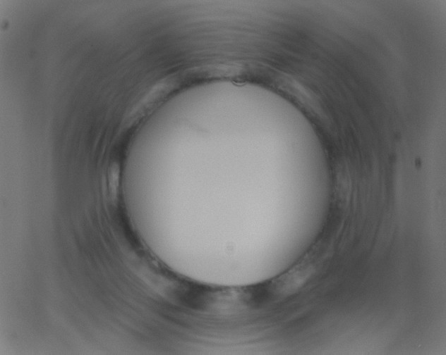 X0000067900118200604271902