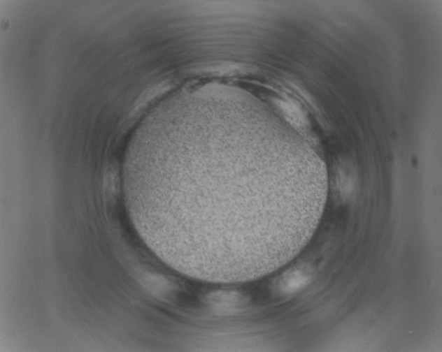 X0000067900119200604271902