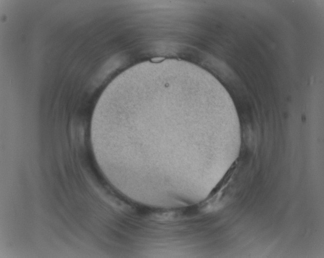 X0000067900120200604271902