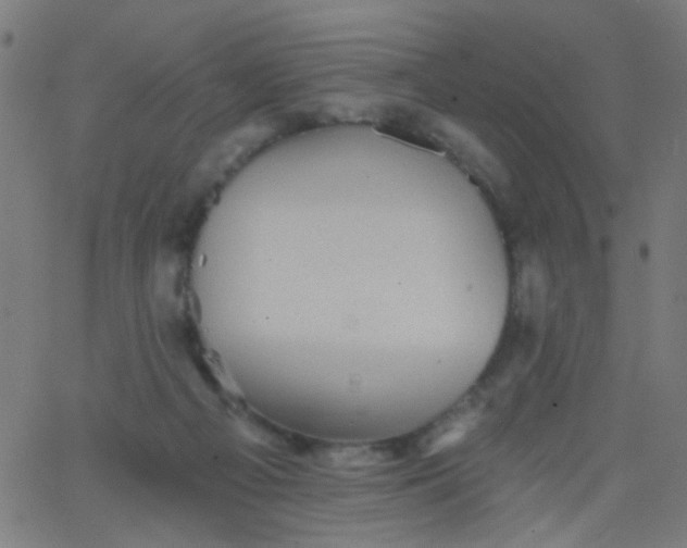 X0000067900121200604271902