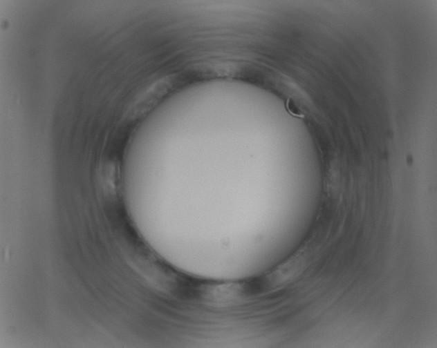 X0000067900122200604271902