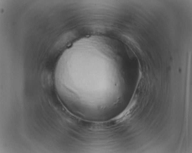 X0000067900123200604271902