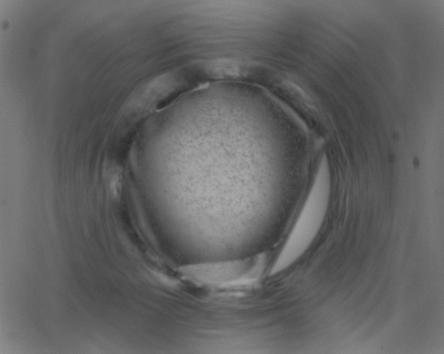 X0000067900125200604271902