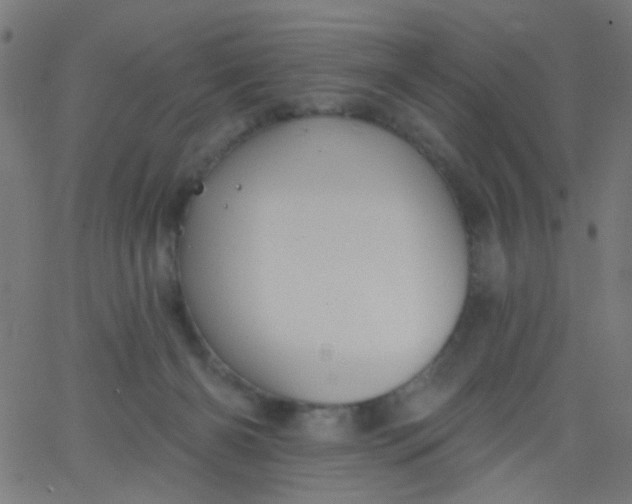 X0000067900126200604271902