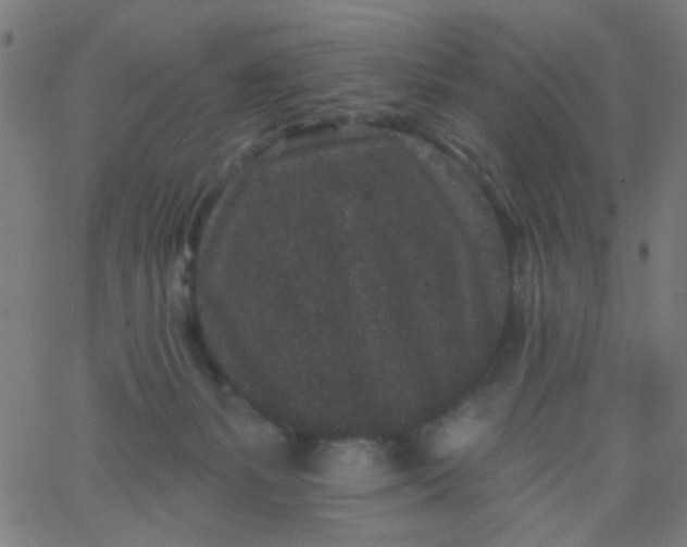 X0000067900127200604271902