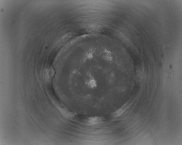 X0000067900130200604271902