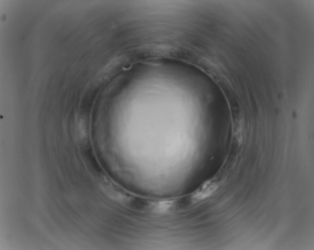 X0000067900131200604271902