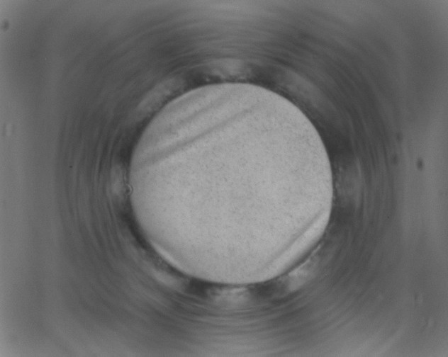 X0000067900132200604271902