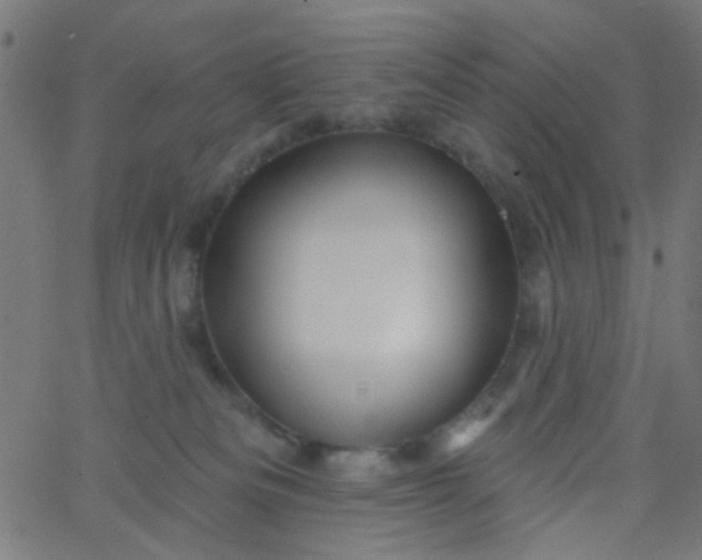 X0000067900133200604271902