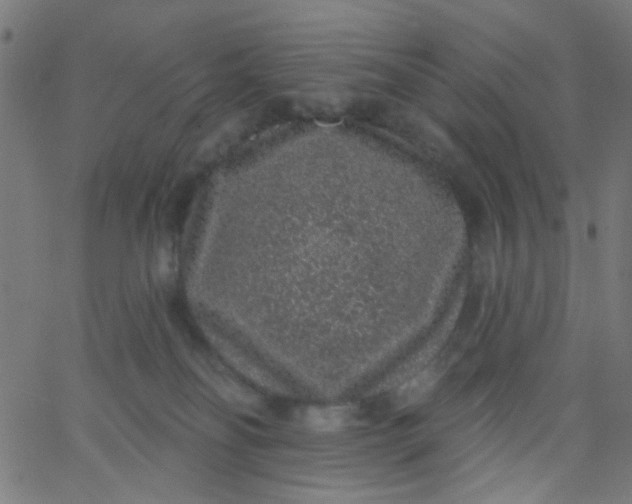 X0000067900134200604271902