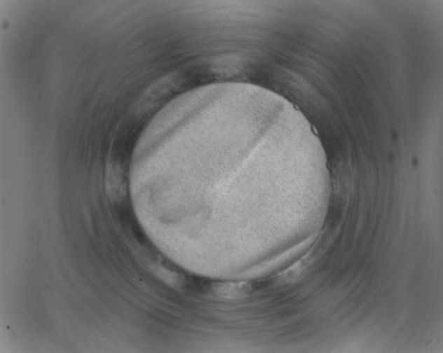 X0000067900136200604271902