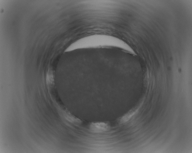 X0000067900137200604271902