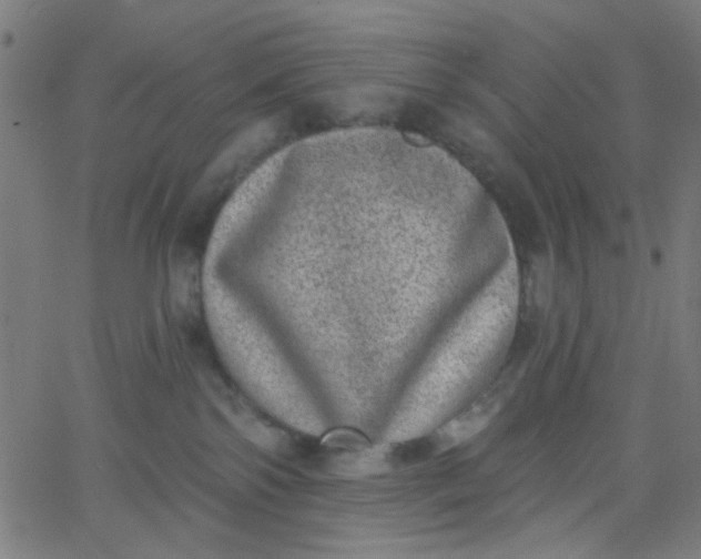 X0000067900138200604271902