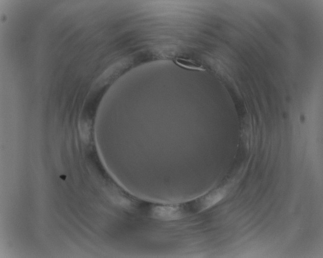 X0000067900139200604271902