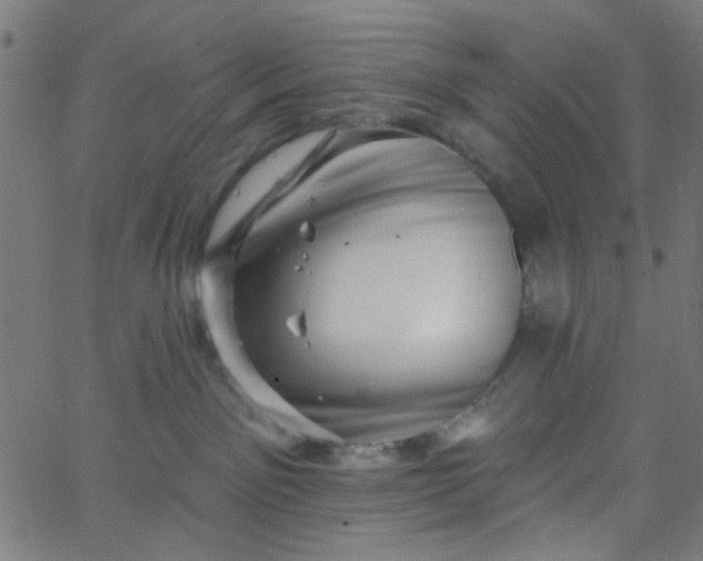 X0000067900141200604271902