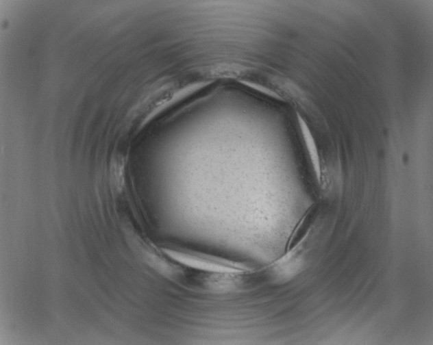 X0000067900142200604271902