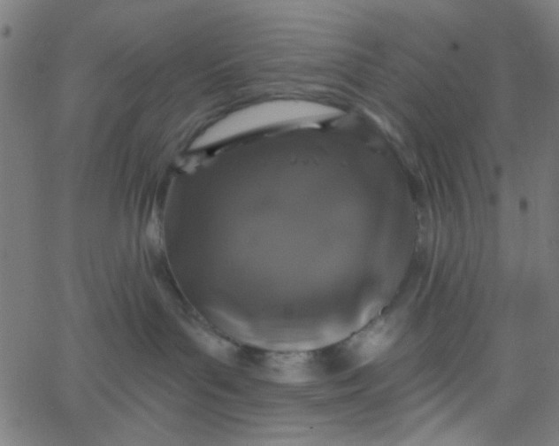 X0000067900143200604271902