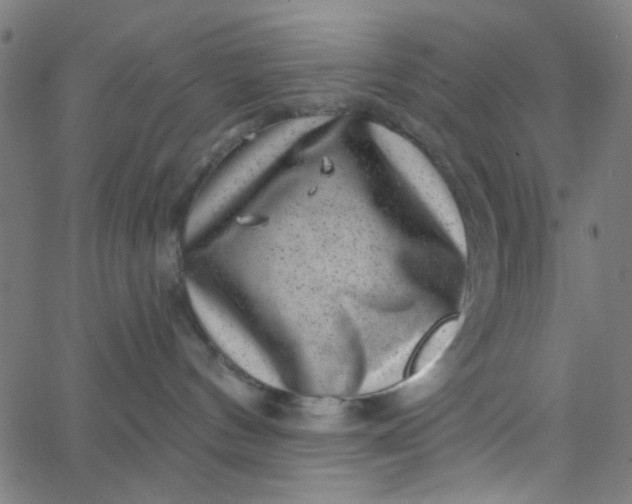 X0000067900144200604271902