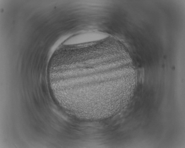 X0000067900147200604271901