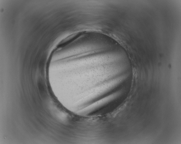 X0000067900148200604271901