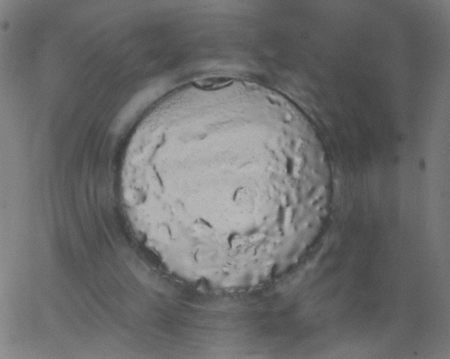 X0000067900149200604271901