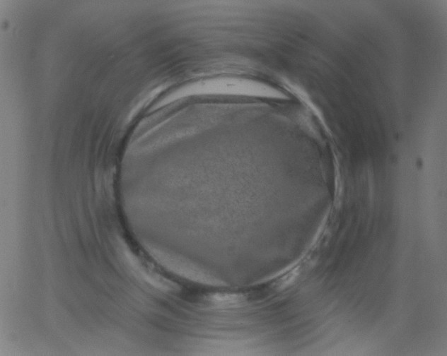 X0000067900154200604271901