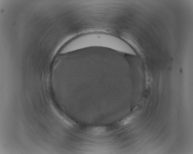 X0000067900156200604271901