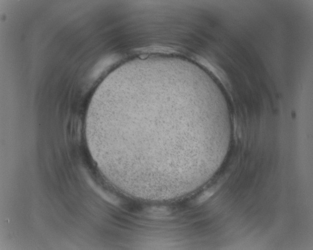 X0000067900157200604271901