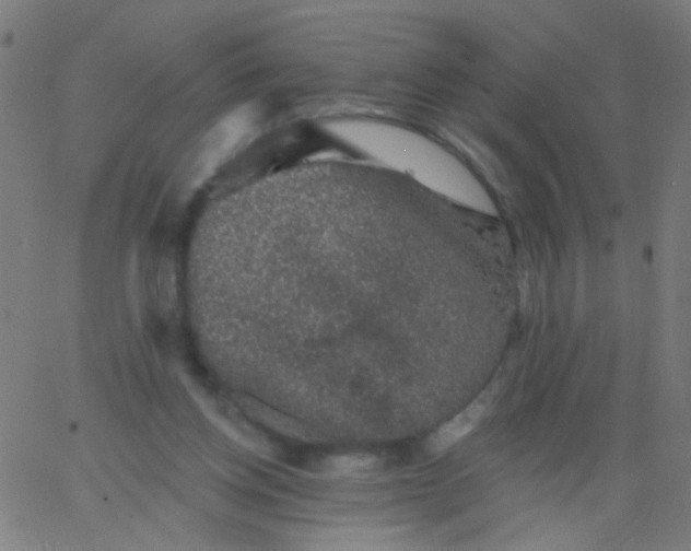 X0000067900158200604271901