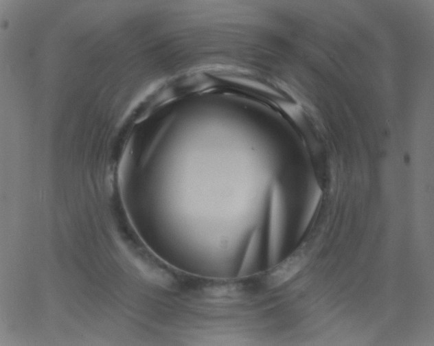 X0000067900160200604271901