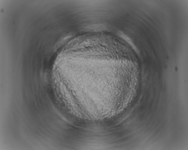 X0000067900161200604271901