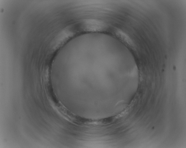 X0000067900163200604271901