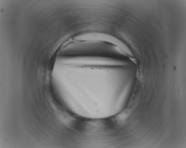 X0000067900164200604271901