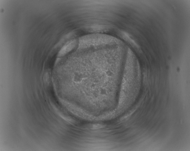 X0000067900165200604271901