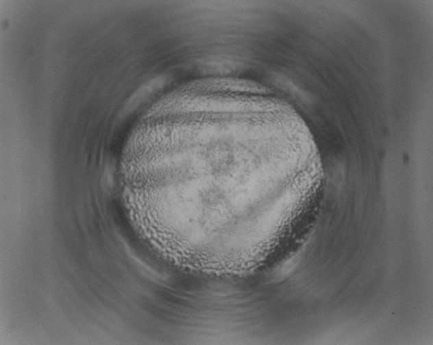 X0000067900166200604271901