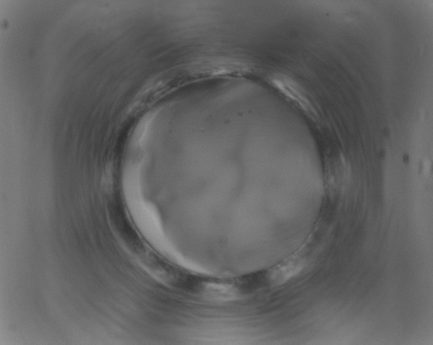 X0000067900167200604271901