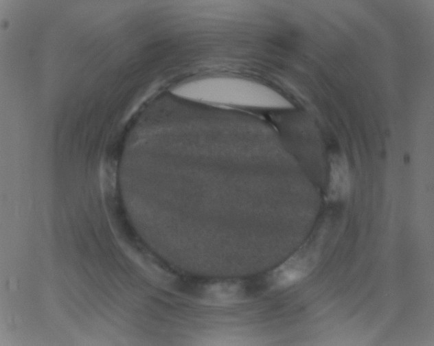 X0000067900168200604271901